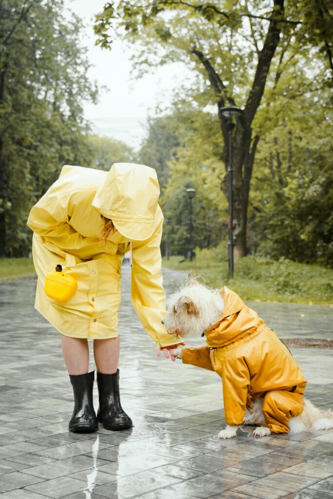 Woman and dog in matching yellow raincoats walking on a rainy day in the park.
